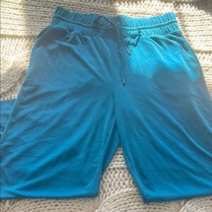Blue Jogger Pants
